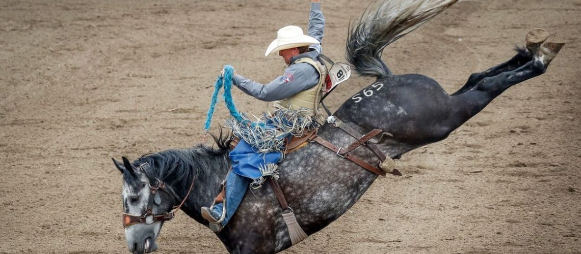 Cash Wilson from Wall, South Dakota rides Special Smoke during the Saddle Bronc Championship at the Calgary Stampede ahead of the 2024 edition of the event