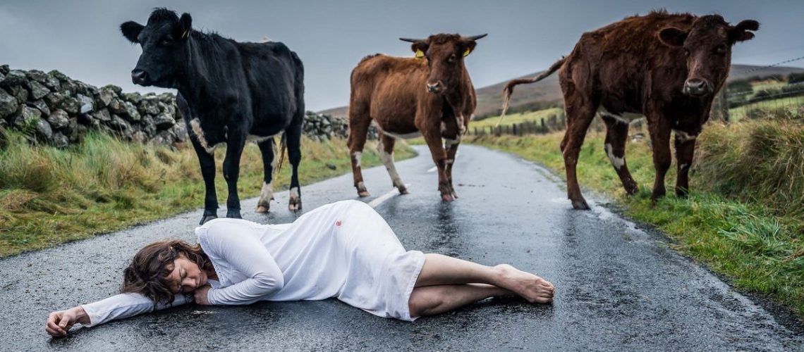 Mysterious corpse lying on an English country road surrounded by three curious cows in a scene from gothic thriller The Woman in the Wall starring Ruth Wilson.