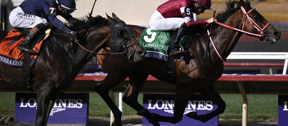 Ryusei Sakai riding Forever Young to victory in the Breeders' Cup Classic on November 1, 2025