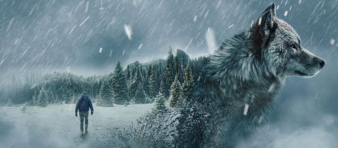 A stylized picture of a wolf, merged with a a man walking into a snowy wilderness to explain how to watch
