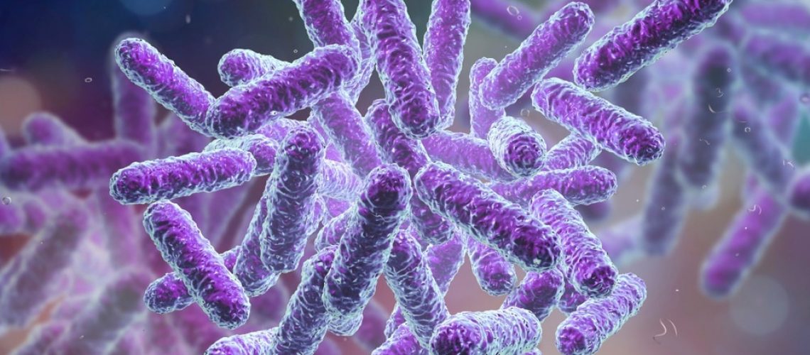 Study: Novel Organism Verification and Analysis (NOVA) study: identification of 35 clinical isolates representing potentially novel bacterial taxa using a pipeline based on whole genome sequencing. Image Credit: Kateryna Kon/Shutterstock.com