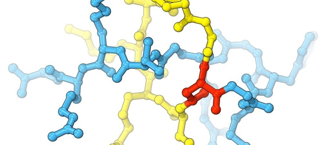 Lariocidin, a lasso-shaped peptide with promising antibiotic properties. (Graphic: Dmitrii Travin and Yury Polikanov). Research: A broad-spectrum lasso peptide antibiotic targeting the bacterial ribosome