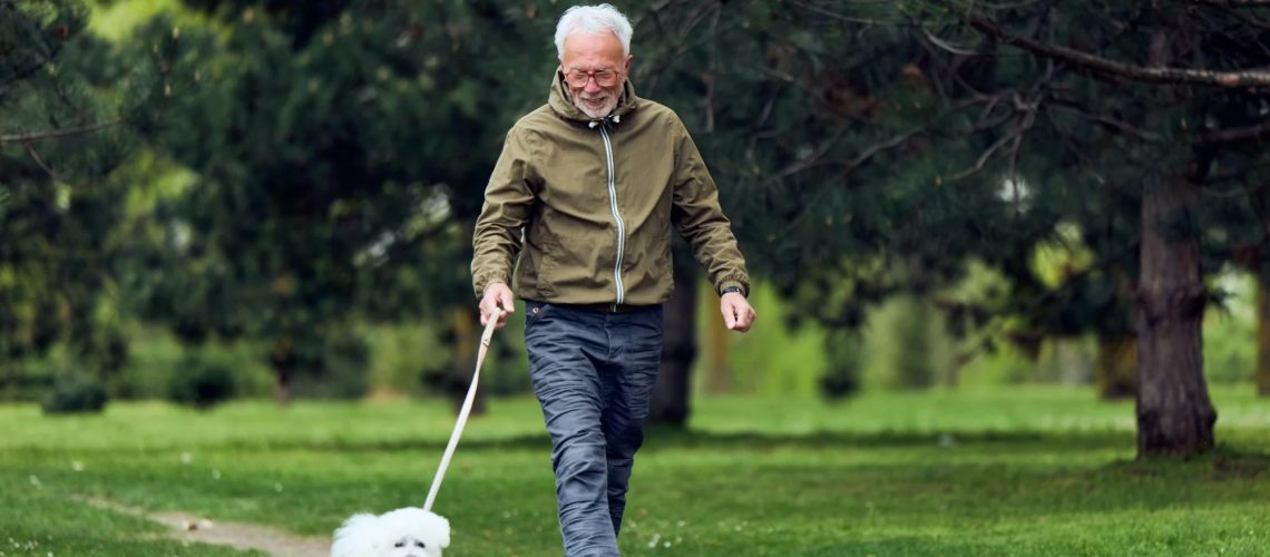 Study: Physical activity and blood pressure as predictors of cognitive function in the all of us research program. Image Credit: Branislav Nenin / Shutterstock