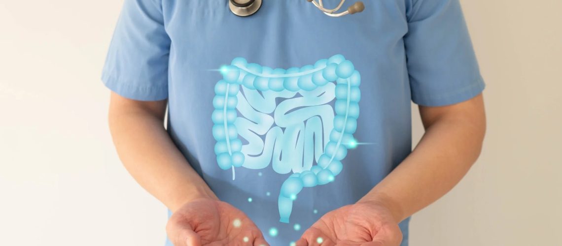 Illustration of healthy intestine anatomy on doctor hands.