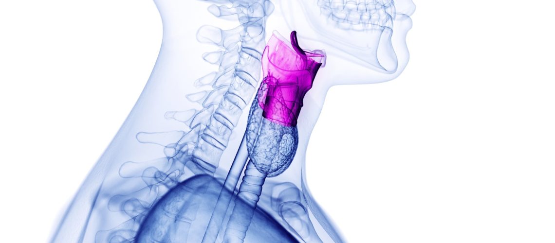 Study: Voice as a biomarker: exploratory analysis for benign and malignant vocal fold lesions. Image Credit: 3dMediSphere / Shutterstock
