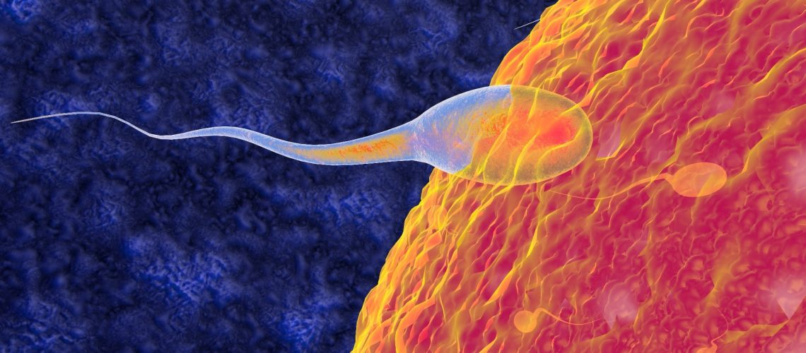 Study: Prevalence of anxiety symptoms in infertile men: a systematic review and meta-analysis. Image Credit: Numstocker / Shutterstock.com