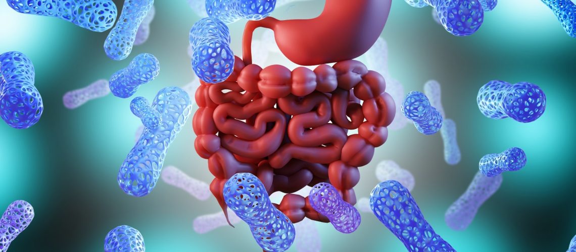 Research Briefing: Gut microbial age modulates cardiovascular disease risk in metabolically unhealthy older people. Image Credit: FOTOGRIN / Shutterstock
