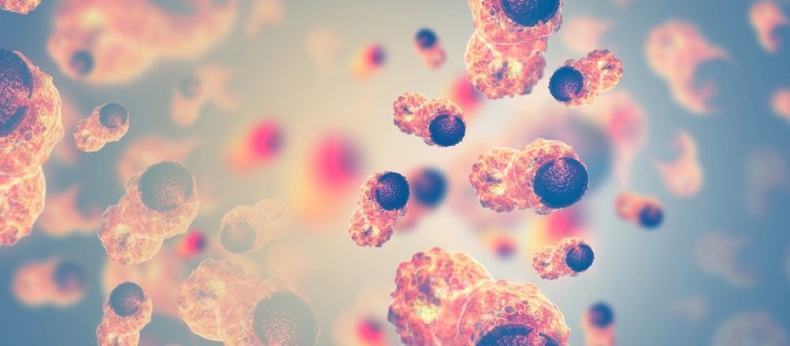 cancer cells, nanomedicine