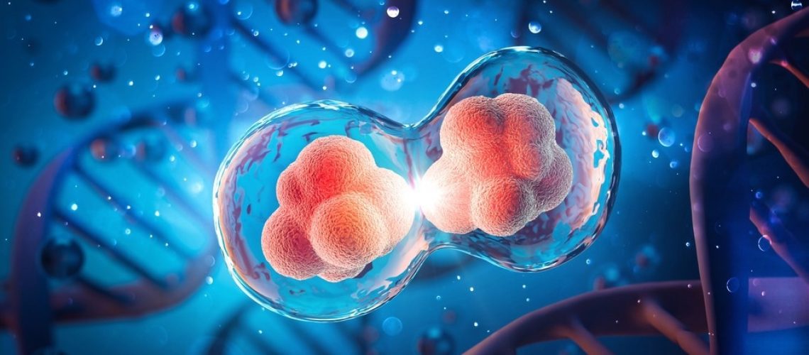 3D illustration of cell division