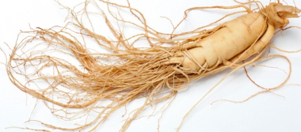 גנום הג'ינסנג מגלה סודות של יתרונות רפואיים