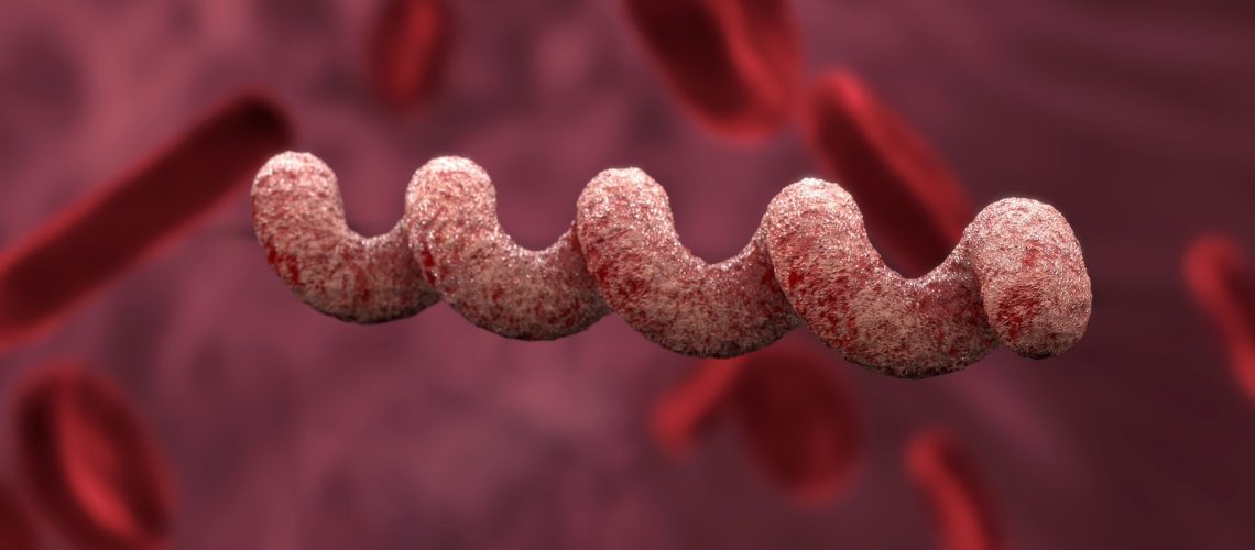 Study: Redefining the treponemal history through pre-Columbian genomes from Brazil. Image Credit: bekirevren / Shutterstock