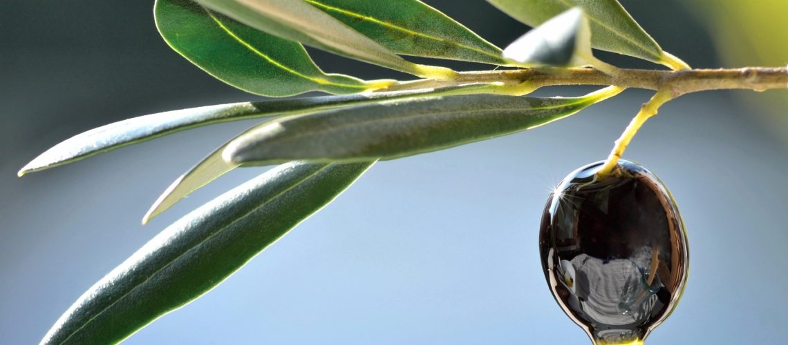 Study: Influence of the Mediterranean diet on seminal quality—a systematic review. Image Credit: leonori / Shutterstock