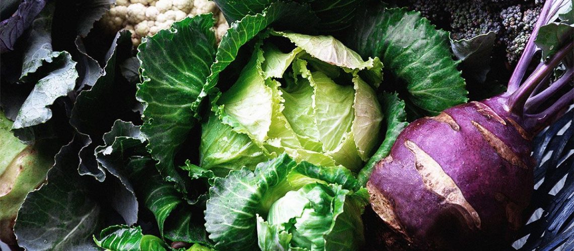 האם אכילת פחות חומצה פולית יכולה לעזור לחילוף החומרים להזדקן?