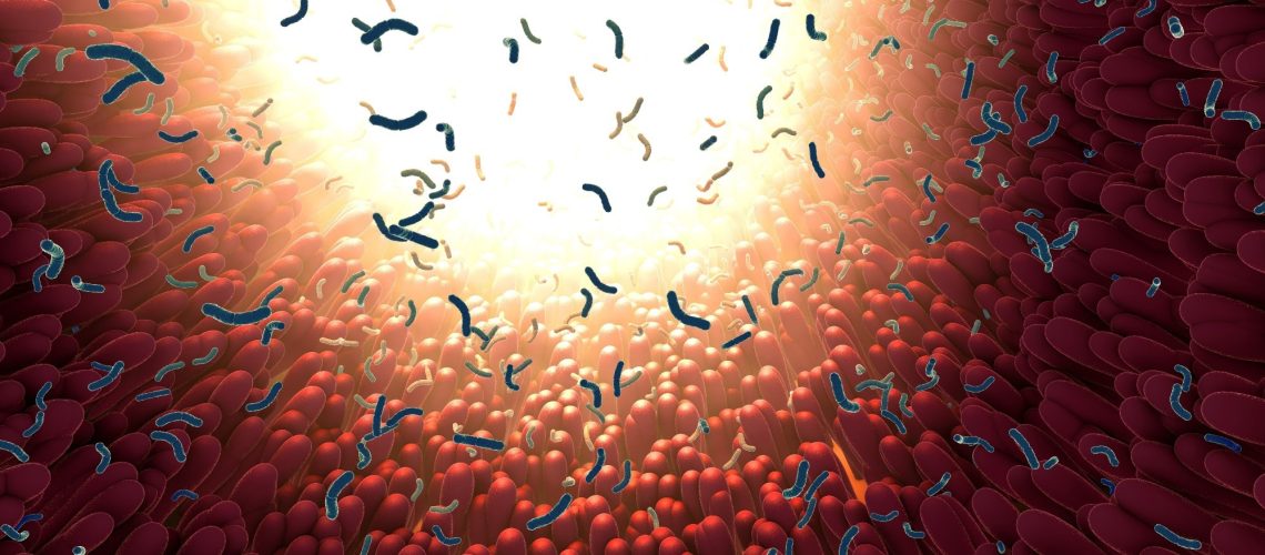 Study: Cross and inter-family interactions for age, sex, smoking and BMI. Image Credit: Christoph Burgstedt / Shutterstock