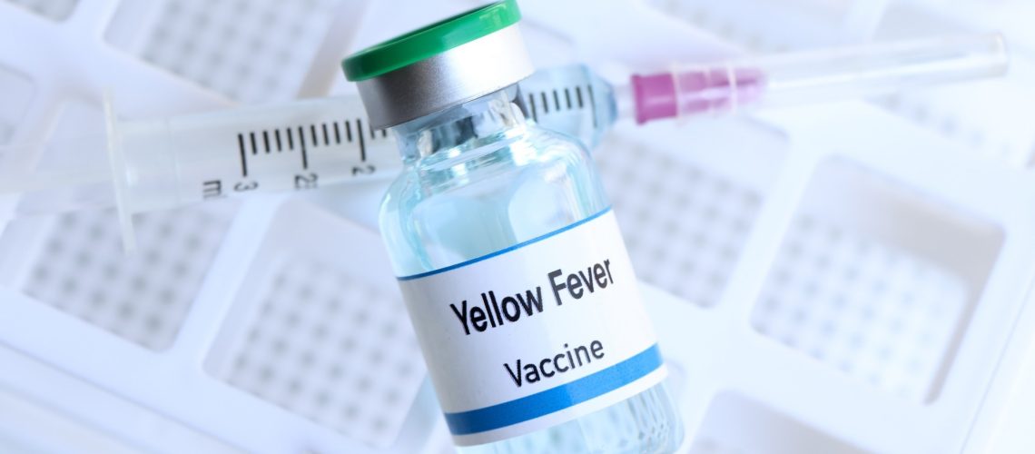 Study: Long-term immunity following yellow fever vaccination: a systematic review and meta-analysis. Image Credit: chemical industry/Shutterstock.com
