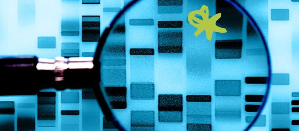 האם טיפול למי שנמצא בסיכון גנטי לאלצהיימר נמצא באופק?