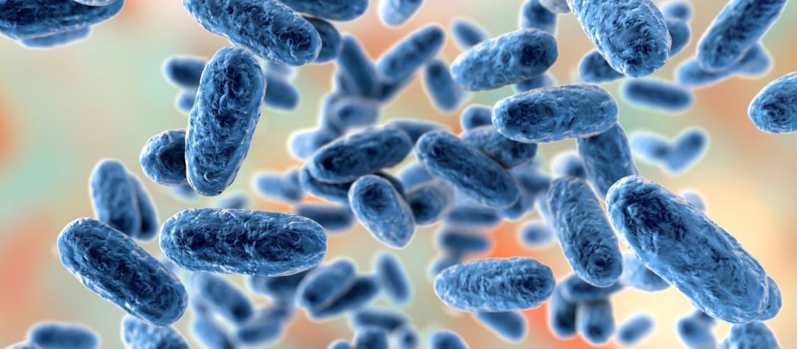 Study: Maternal pertussis immunization and the blunting of routine vaccine effectiveness: a meta-analysis and modeling study. Image Credit: Kateryna Kon / Shutterstock