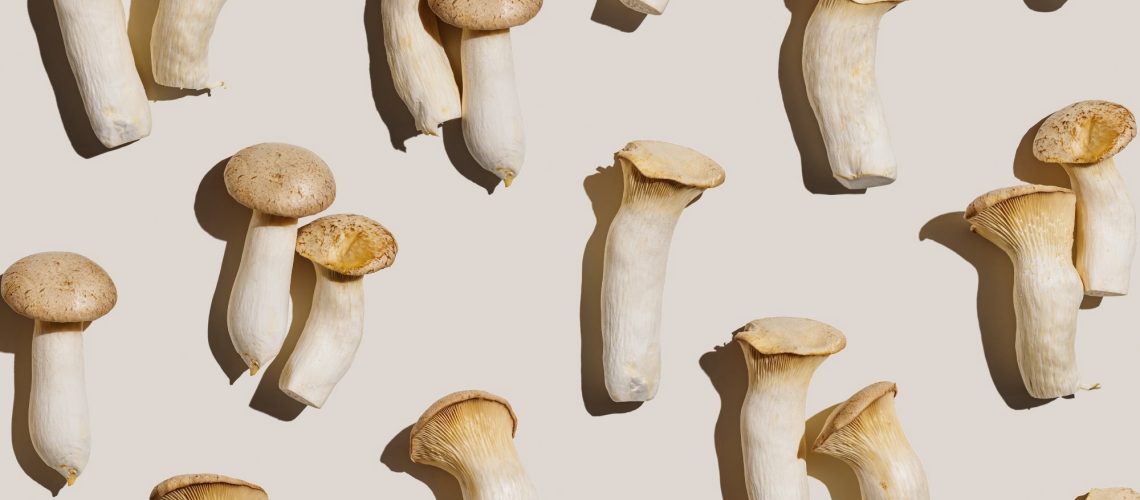 Review: Mushroom consumption impacts on biomarkers of cardiometabolic disease risk and immune function: a narrative review from a whole food perspective. Image Credit: YRABOTA  / Shutterstock