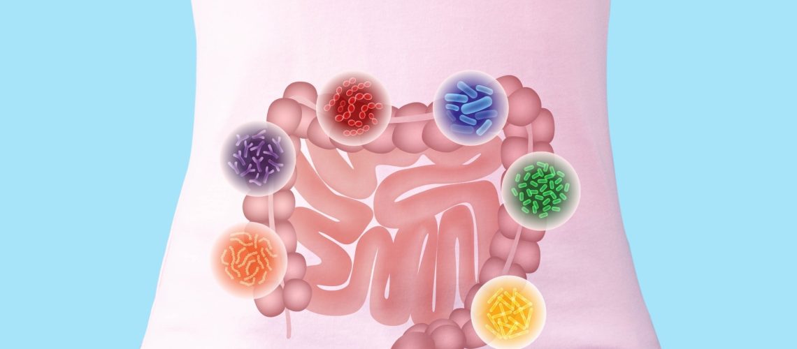 Study: Is there evidence to support probiotic use for healthy people? Image Credit: Orawan Pattarawimonchai / Shutterstock