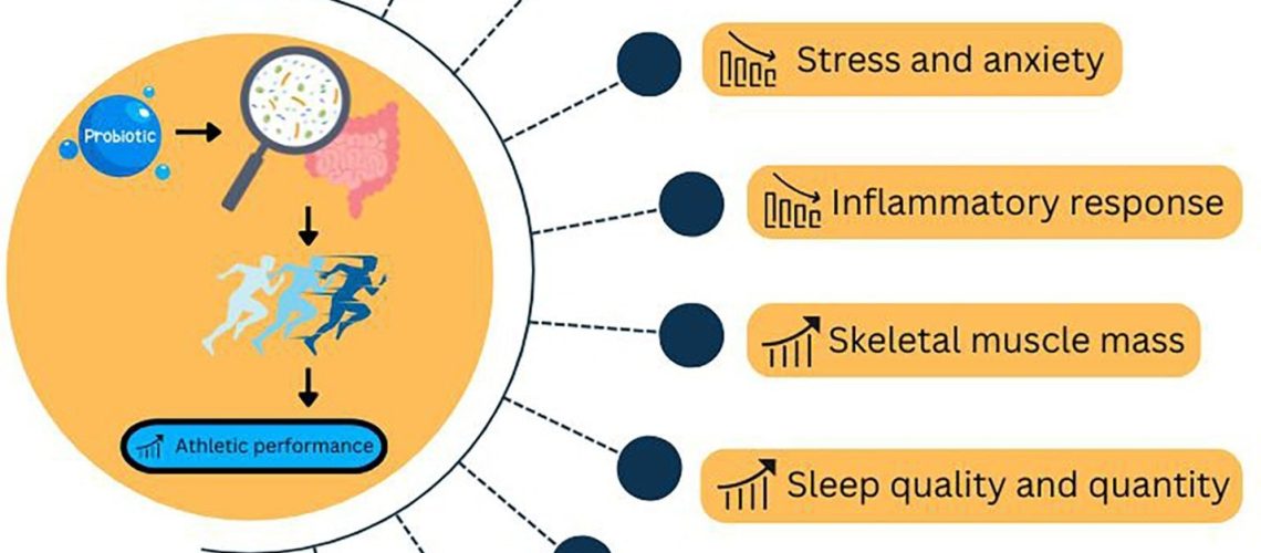 Review: Probiotic supplementation for optimizing athletic performance: current evidence and future perspectives for microbiome-based strategies