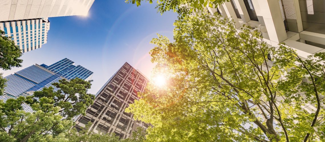 Study: Reassessing the role of urban green space in air pollution control. Image Credit: taka1022 / Shutterstock