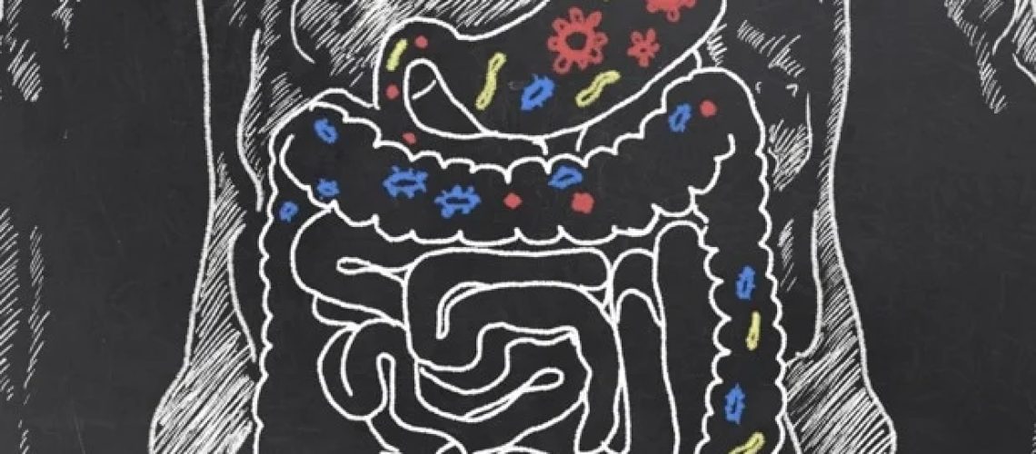 הבדלים במיקרוביום מבחינים בין פגים עם כולסטזיס הקשורה לתזונה פרנטרלית