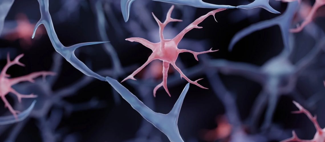 Study: Ageing promotes microglial accumulation of slow-degrading synaptic proteins. Image Credit: ART-ur / Shutterstock