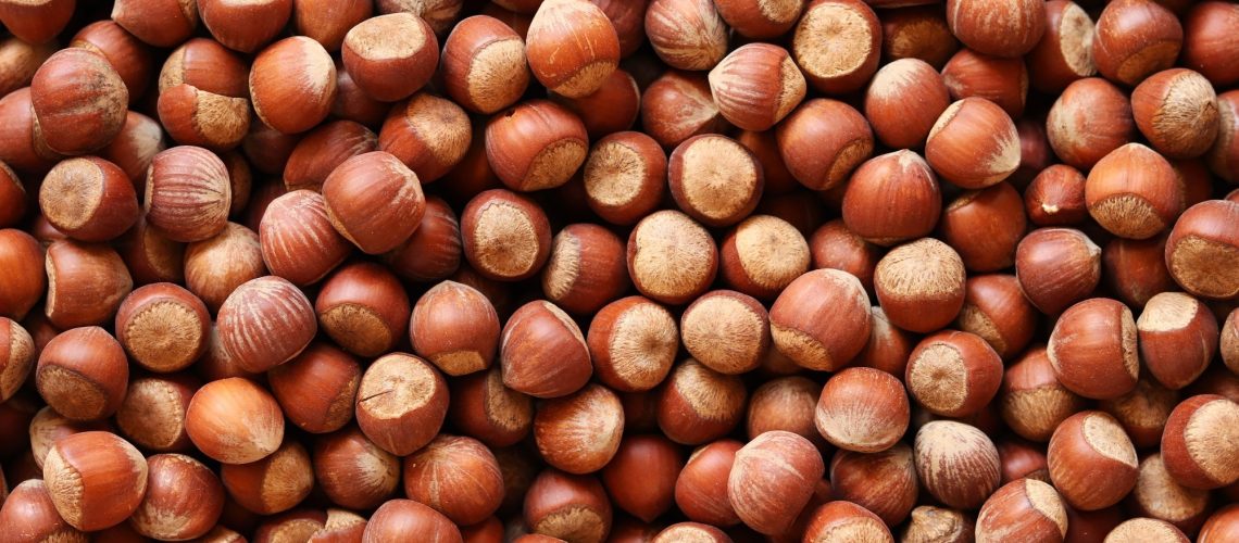 Study: Incorporation of hazelnut skin green extract in pork burgers delays lipid oxidation during cooking and in vitro digestion. Image Credit: Alina Kay / Shutterstock