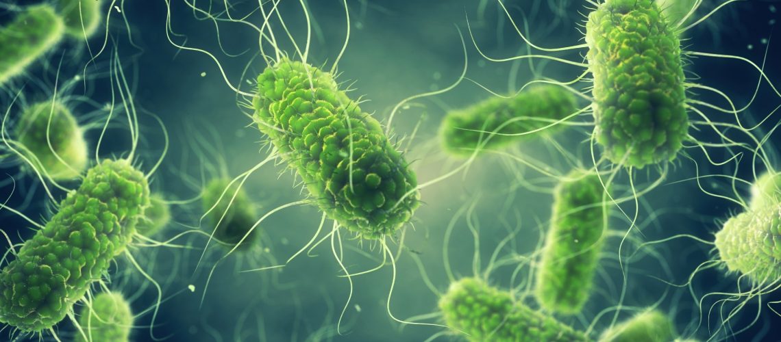 Study: Attribution of Salmonella enterica to Food Sources by Using Whole-Genome Sequencing Data. Image Credit: nobeastsofierce / Shutterstock