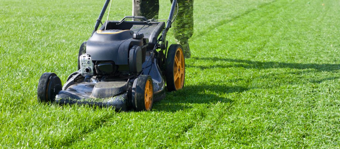 Someone cutting the grass with a lawn mower