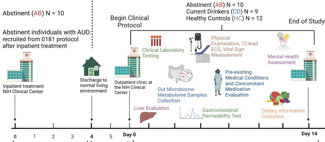 Schematic representation of the study design. Abstinent individuals with AUD (AB) were enrolled in the study after ≥4 weeks of inpatient treatment (NIH/NIAAA treatment protocol 14-AA-0181), followed by ≥2 weeks of “real life” (living their normal life). Non-treatment-seeking, currently drinking individuals with AUD (CD) and matched healthy controls (HC) were also enrolled. Fecal samples from the study participants were collected and processed for gut microbiome and metabolome analysis. Physical examination, 12-lead ECG, vital sign measurements, and laboratory tests were performed. Information on physical and mental health (including information on medical conditions and medications) and dietary intake was gathered and analyzed. Transient liver elastography and gastrointestinal permeability testing were carried out.