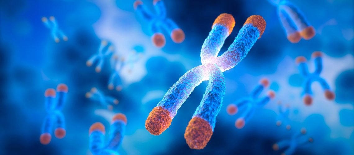 Study: Associations between air pollution and relative leukocyte telomere length among northern Swedish adults based on findings from the Betula study. Image Credit: peterschreiber.media / Shutterstock