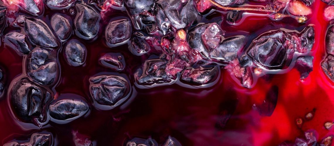 Study: Grape Pomace—Advances in Its Bioactivity, Health Benefits, and Food Applications. Image Credit: Piotr Velixar / Shutterstock