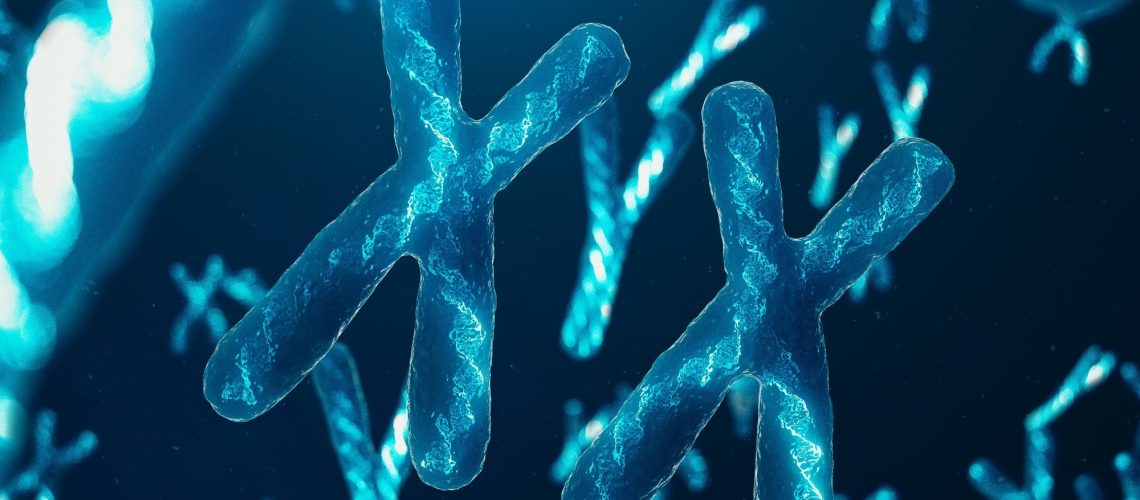 Review: The conneXion between sex and immune responses.