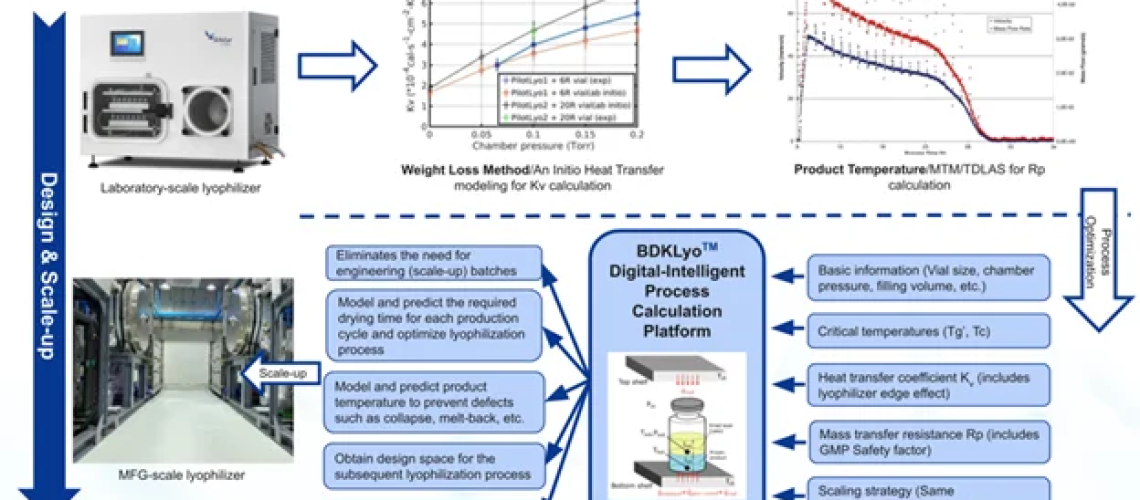 Flowchart and Interface of BDKLyoTM Digital-Intelligence Process Calculation Platform.