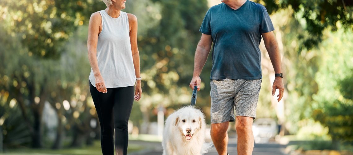 Study: Walk or be walked by the dog? The attachment role. Image Credit: PeopleImages.com - Yuri A/Shutterstock.com