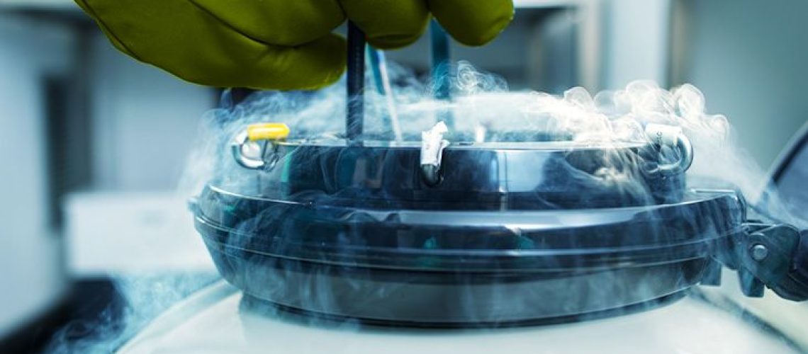 הקפאת רקמות השחלות עשויה לסייע בעיכוב, ואף למנוע את גיל המעבר