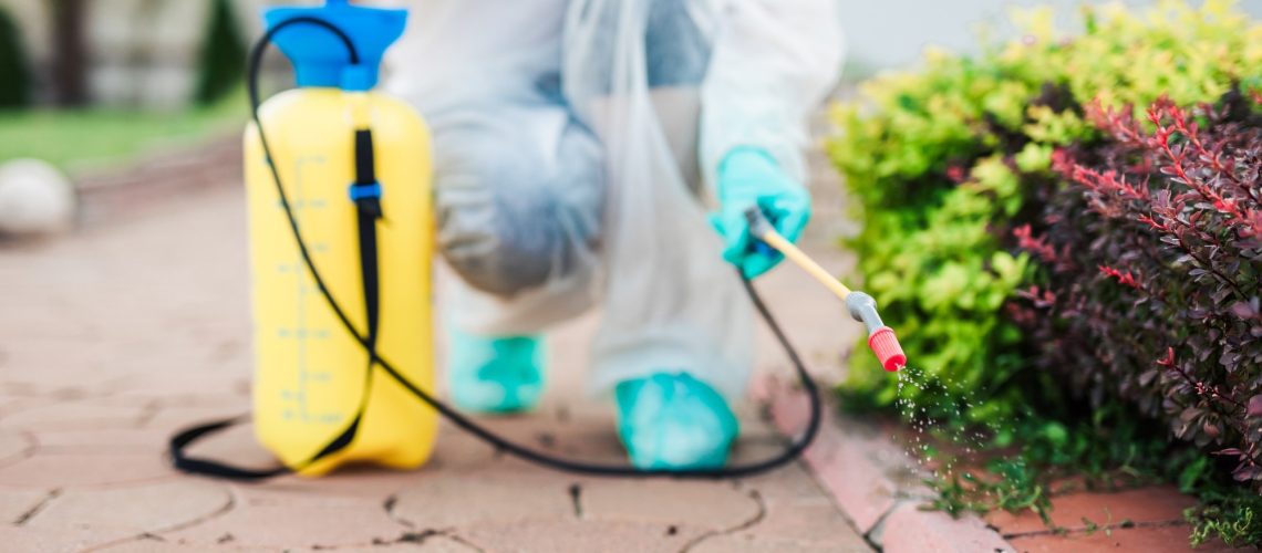 Exterminator in work wear outdoors spraying pesticide with sprayer.