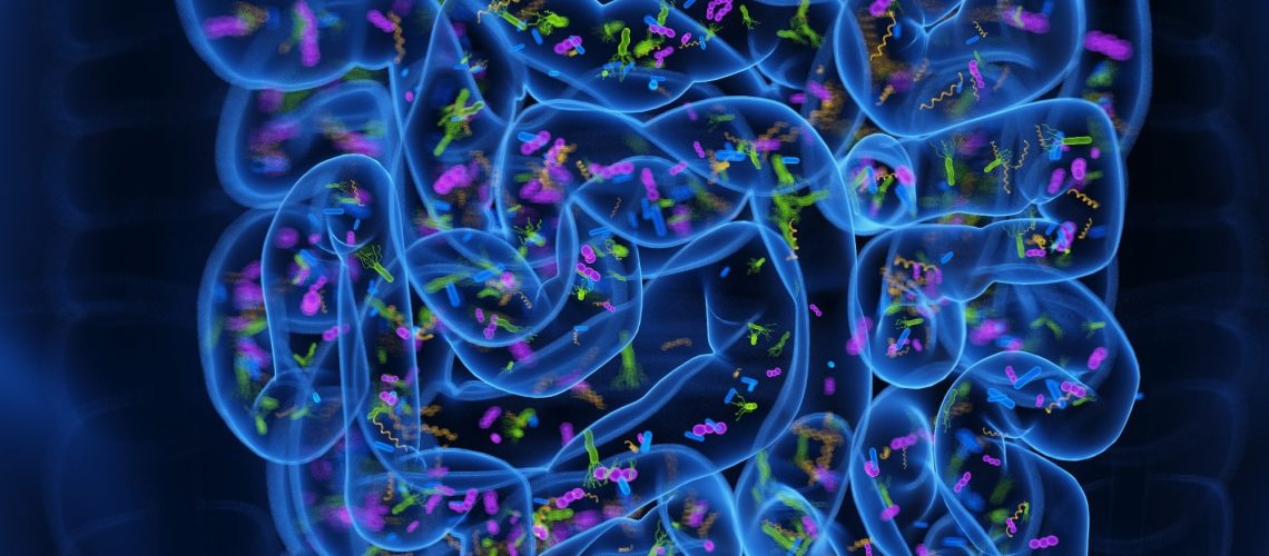 3d rendered medical illustration of the microbiome of the small intestine