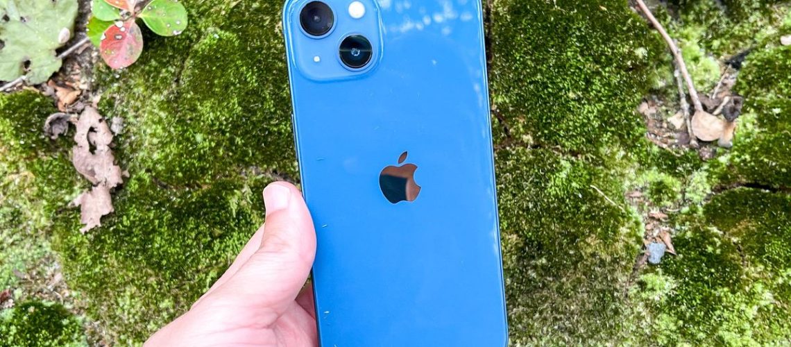 A blue iPhone 13 held in front of green foliage