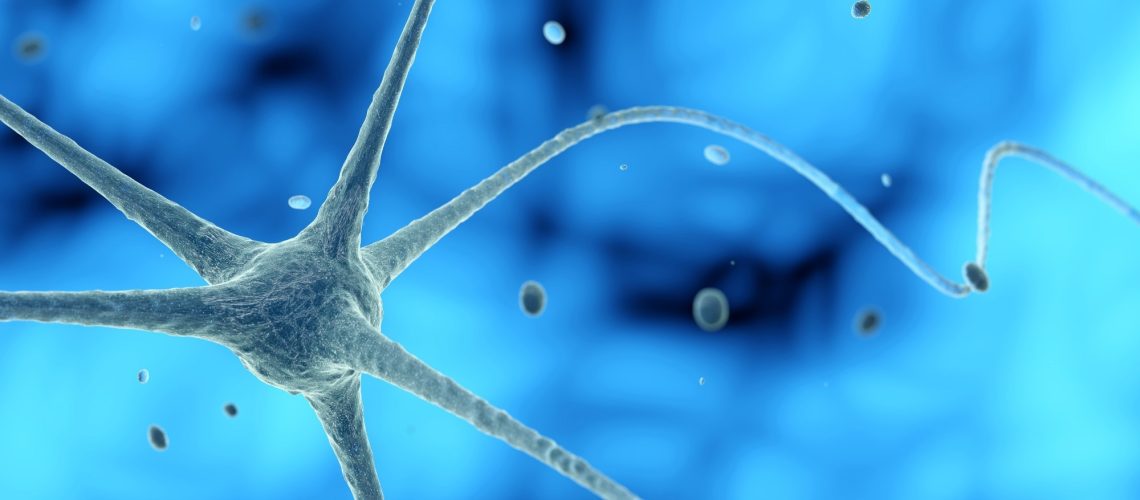 התרחבות וארגון עצמי לטווח ארוך של אורגני מוח העובר האנושי