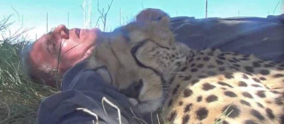 ולא מאמין למראה עיניו