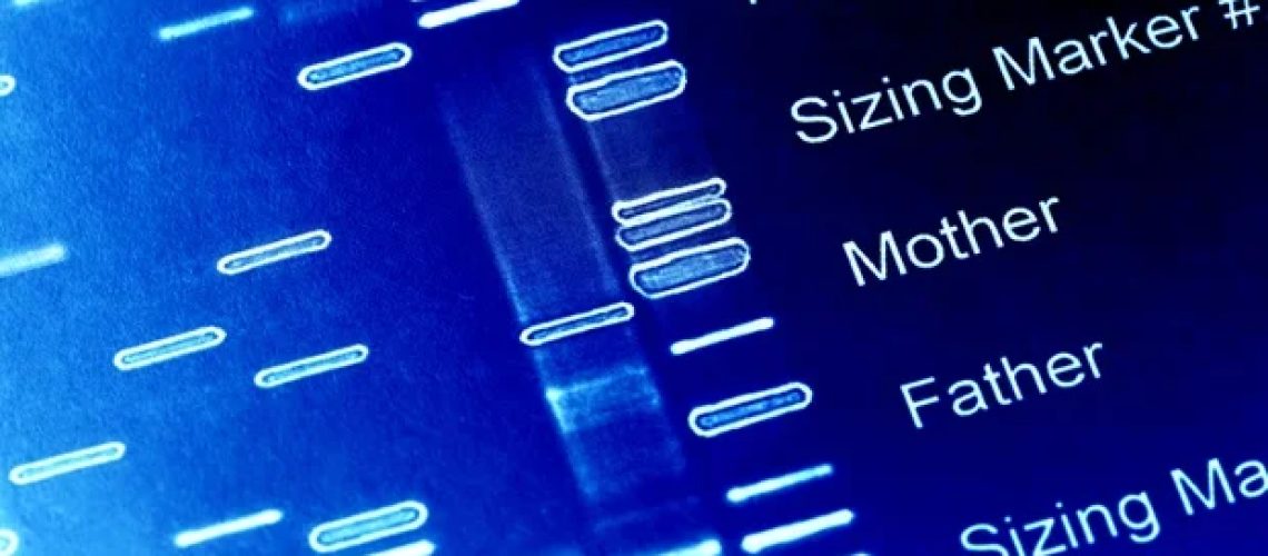 וריאנט גנטי נדיר שזוהה לאחרונה מפחית את הסיכון ללוקמיה