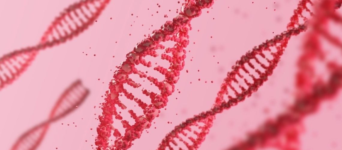 Study: SMIM1 absence is associated with reduced energy expenditure and excess weight. Image Credit: james benjamin/Shutterstock.com