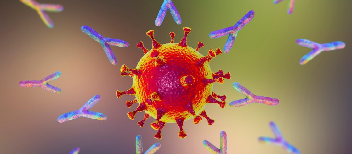 Study: SARS-CoV-2-infection- and vaccine-induced antibody responses are long lasting with an initial waning phase followed by a stabilization phase. Kateryna Kon / Shutterstock