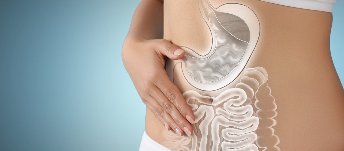 Study: Gut physiology and environment explain variations in human gut microbiome composition and metabolism. Image Credit: New Africa / Shutterstock
