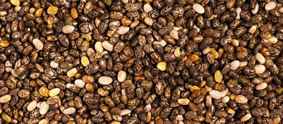 Study: Chia seed enrichment in high-fat-high-sugar diet-induced obesity: a strategy to increase DHA levels in maternal tissues and in fetal placenta and brain during pregnancy. mage Credit: Very Hungry Owl / Shutterstock