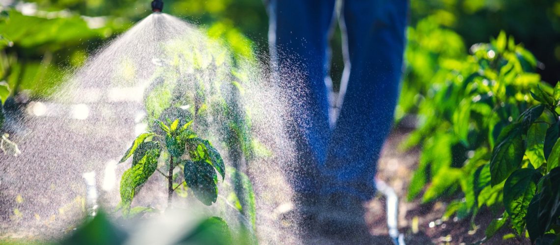 Study: Associations between pesticide use and rheumatoid arthritis among older farmers in the Agricultural Health Study. Image Credit: Valentin Valkov / Shutterstock