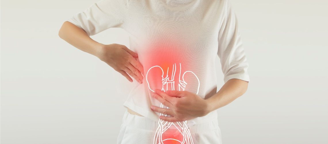 Study: Associations between Gut Microbiota Dysbiosis and Other Risk Factors in Women with a History of Urinary Tract Infections. Image Credit: mi_viri / Shutterstock.com