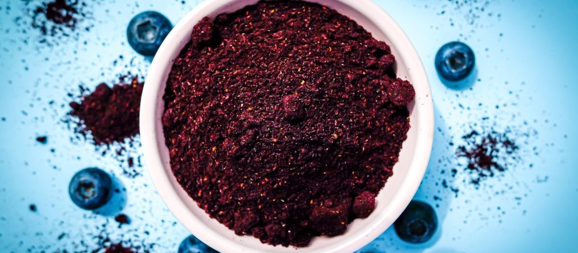 Study: Introducing blueberry powder as one of the first complementary foods changes the gut microbiota composition and diversity in U.S. human milk-fed infants: a double-blind, randomized controlled trial. Image Credit: Radowitz / Shutterstock